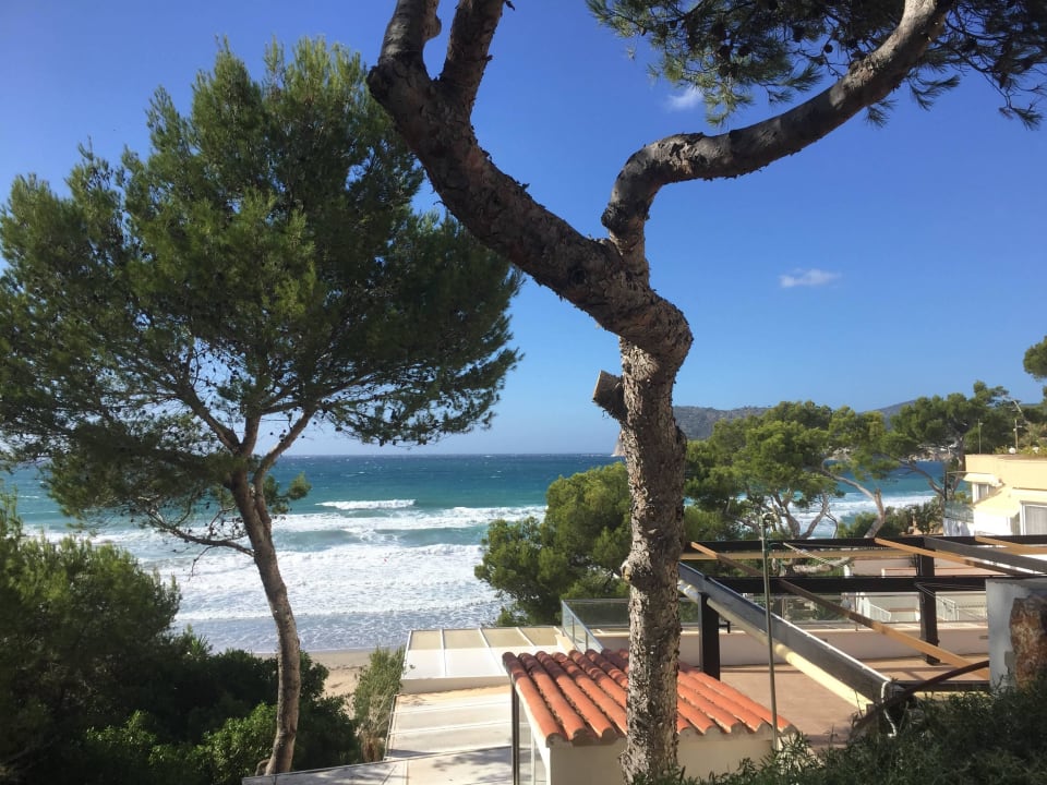 Auf dem Weg zum Strand allsun Hotel Bella Paguera