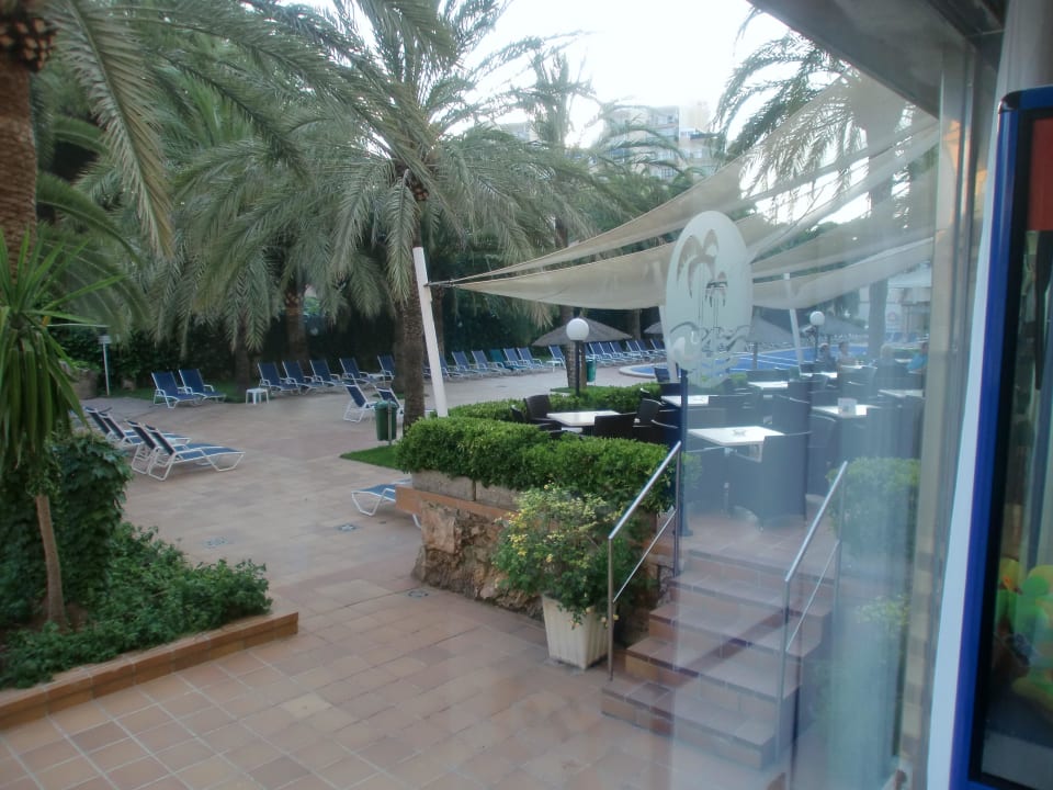 Blick von der Bar zum Pool Hotel Cosmopolitan