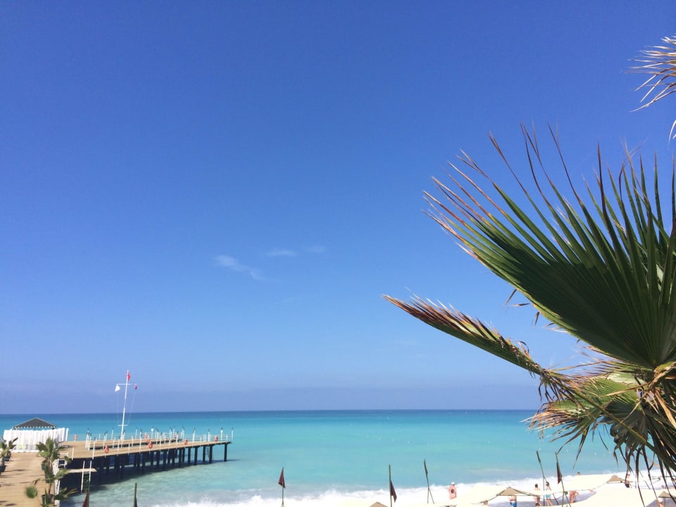 Blick zum Steg Hotel Botanik Platinum