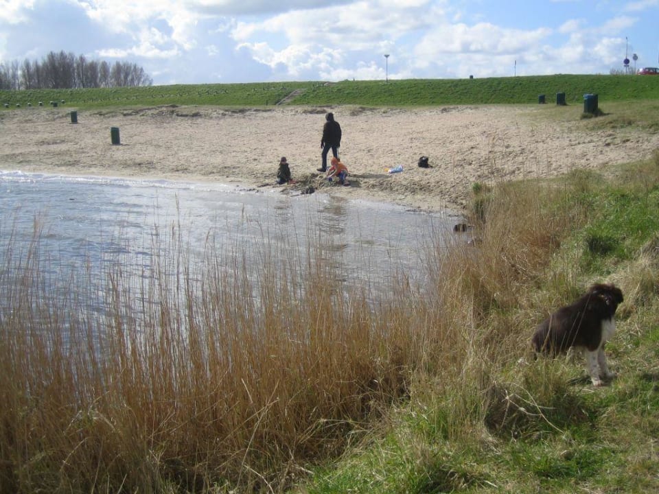 Der Strand in Bruinisse Summio Parc Aquadelta