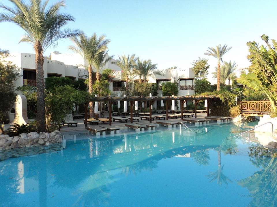 Liegen im Pool Ghazala Gardens