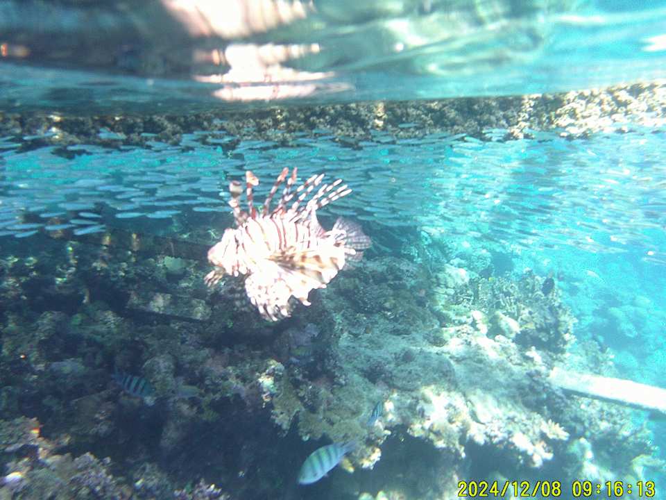 Strand Protels Crystal Beach Resort