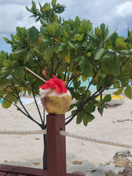 Strand Hotel Riu Jambo