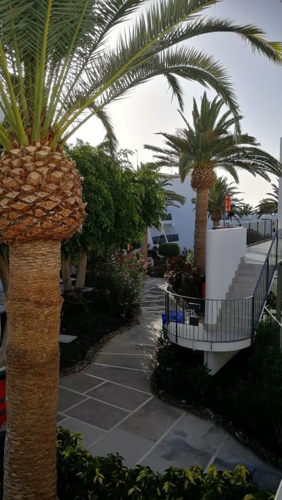 Gartenanlage Sol Fuerteventura Jandia - All Suites