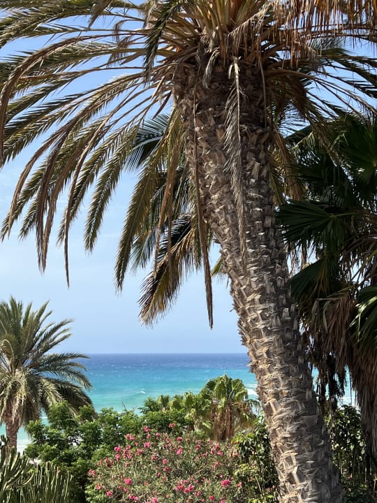 Gartenanlage Aldiana Club Fuerteventura