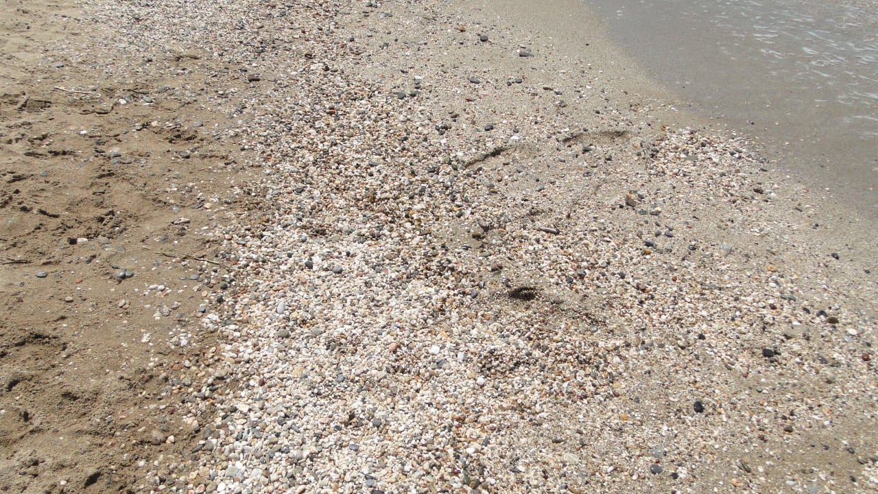 Plaża Bella Beach Hotel