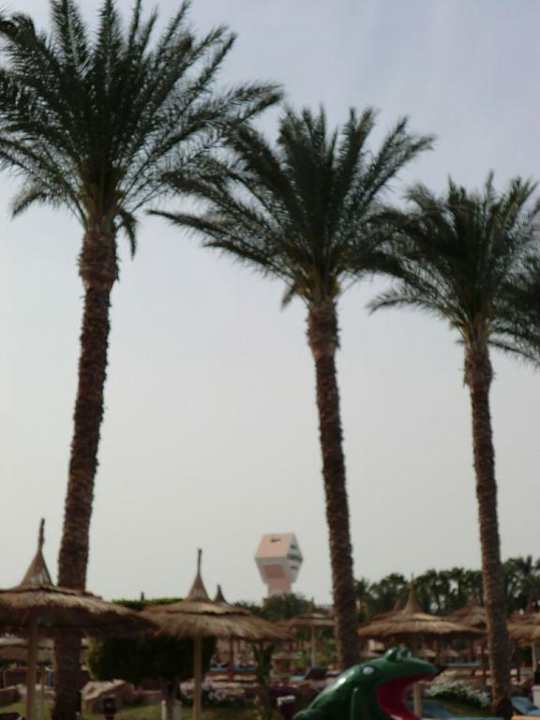 Palmen Beach Albatros Resort