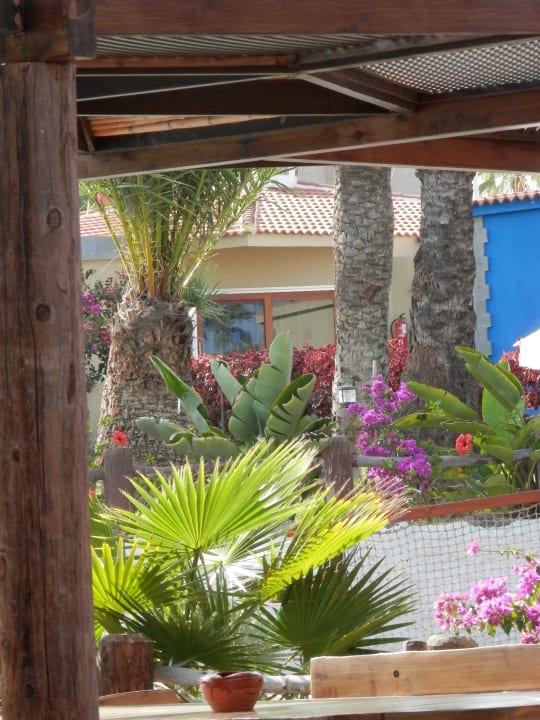 Blick von der Poolbar HL Miraflor Suites Hotel