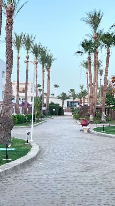 Gartenanlage Iberotel Palace