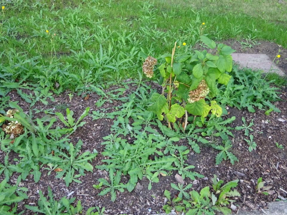 Gartenanlage Congress Hotel Weimar by Mercure