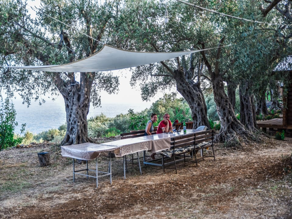 Zimmer Holiday Park Olive Tree