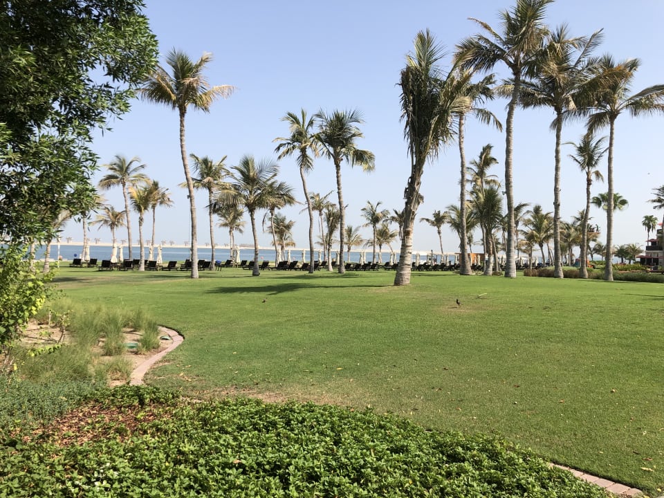 Gartenanlage JA Palm Tree Court