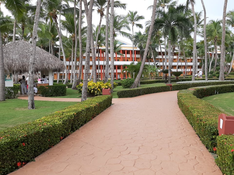 Gartenanlage Iberostar Waves Punta Cana