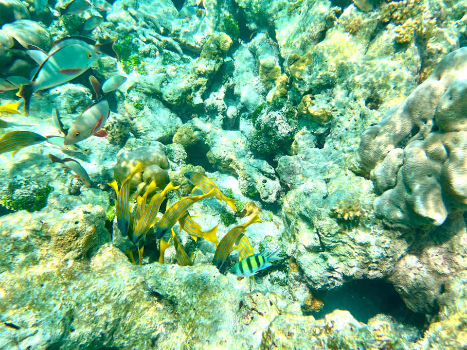 Sport & Freizeit Jawakara Islands Maldives