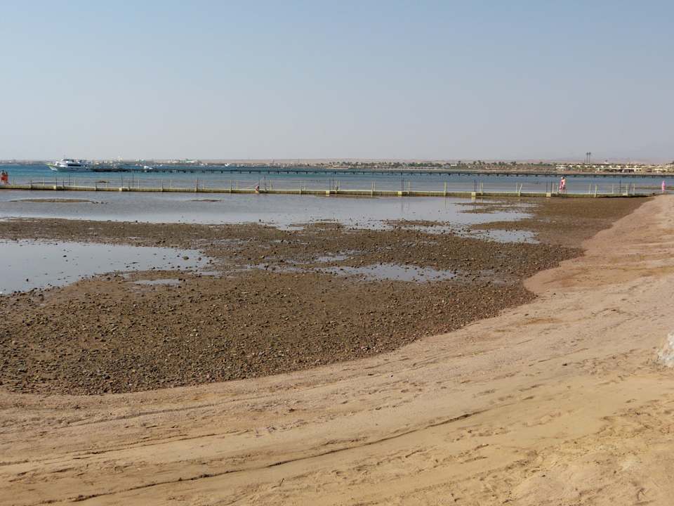 Strand bei Ebbe Pickalbatros Palace Resort