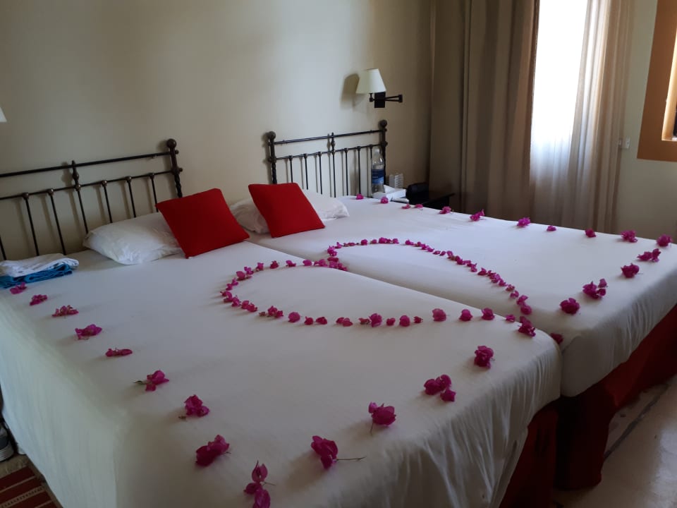 Zimmer Dawar El Omda - Adults only  (Im Umbau/Renovierung)
