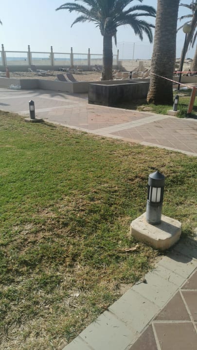 Gartenanlage Hotel Riu Oliva Beach - Hotel