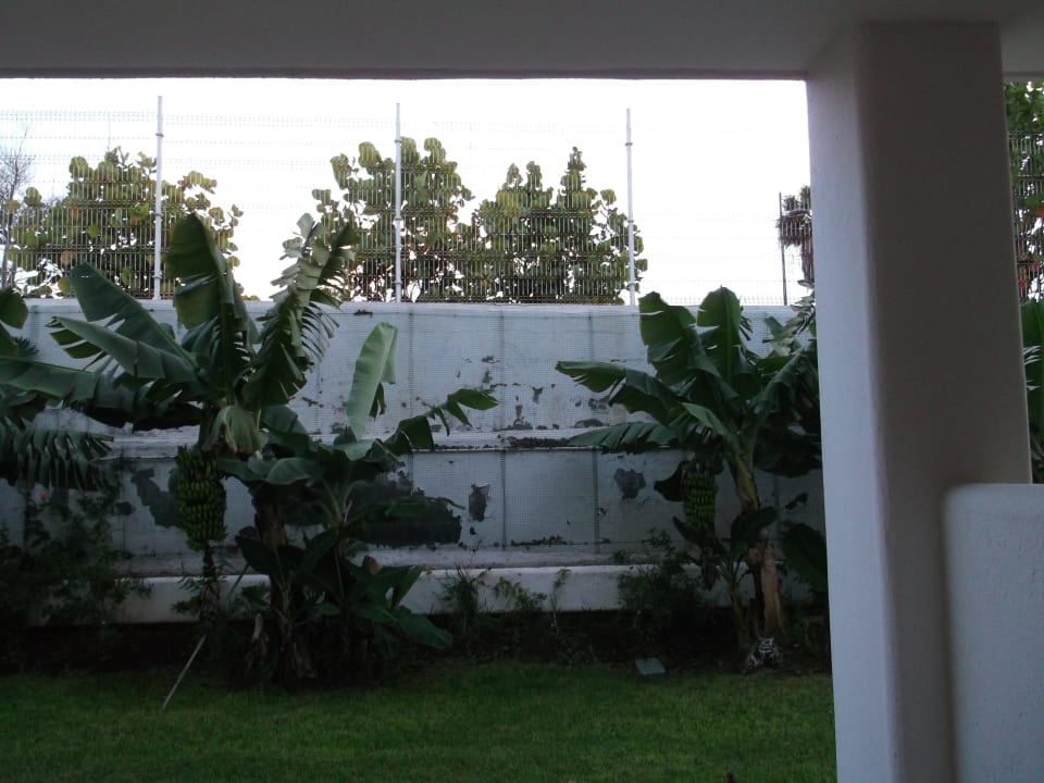 Break down this wall H10 Gran Tinerfe - Adults only