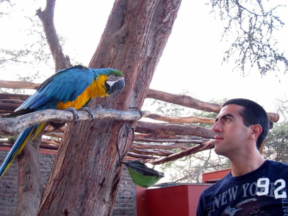 Con la mascota Hotel El Huacachinero