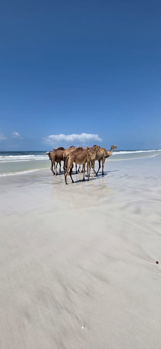 Strand Salalah Rotana Resort
