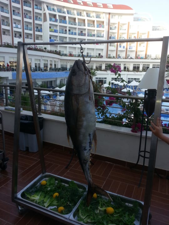 Fischabend Side Prenses Resort & Spa