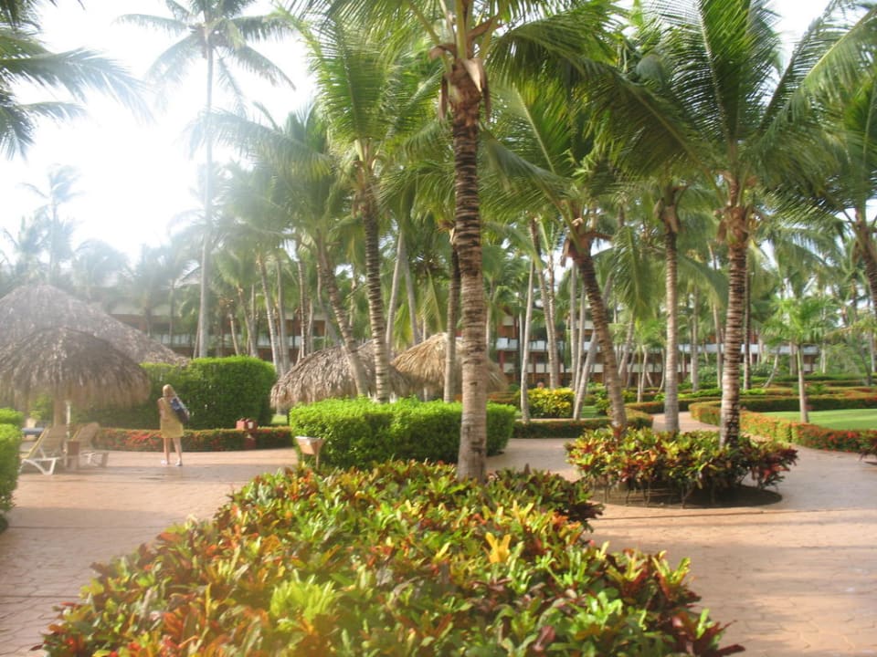 Gartenanlage  Iberostar Waves Punta Cana