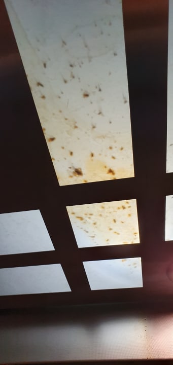 Sonstiges Prestige Alanya