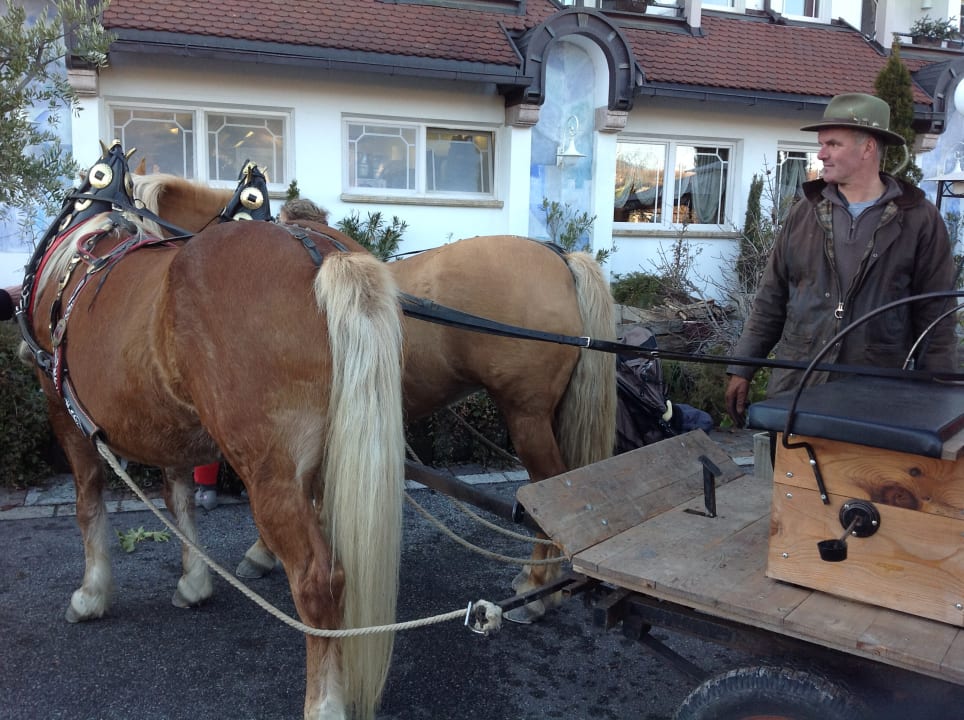 Sport & Freizeit Weinegg Wellviva Resort