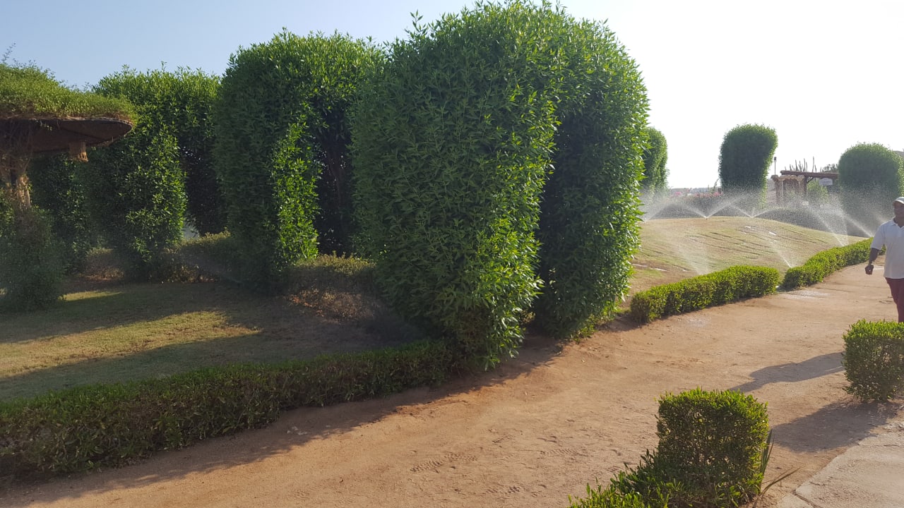Garten Siva Sharm