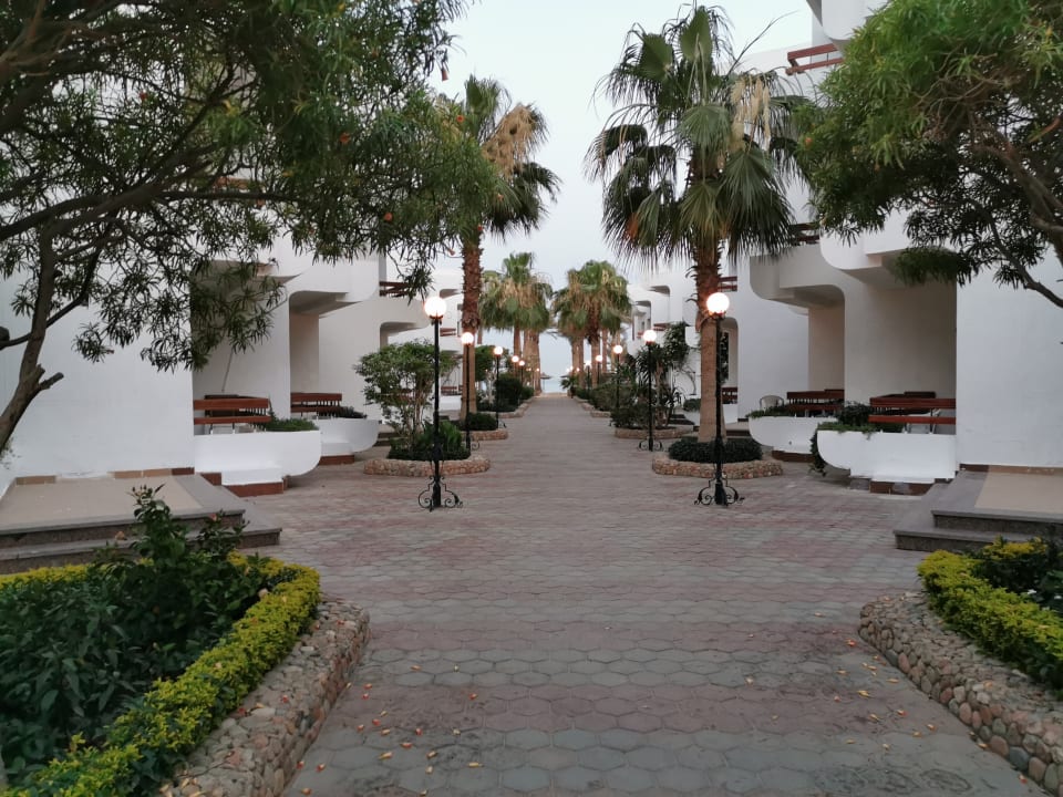 Gartenanlage Marlin Inn Azur Resort