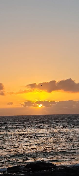 Ausblick allsun App.-Hotel Barlovento