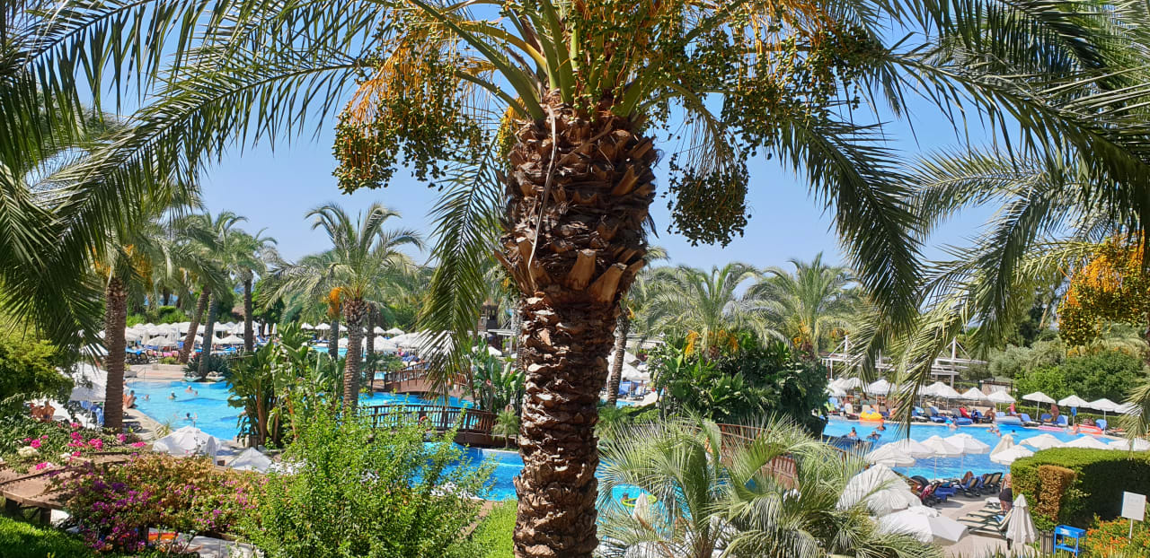 Pool Sunis Kumköy Beach Resort Hotel & Spa