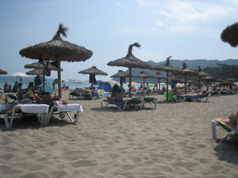 Strand Universal Hotel Laguna