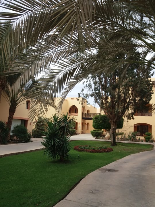 Gartenanlage Steigenberger Coraya Beach - Adults only