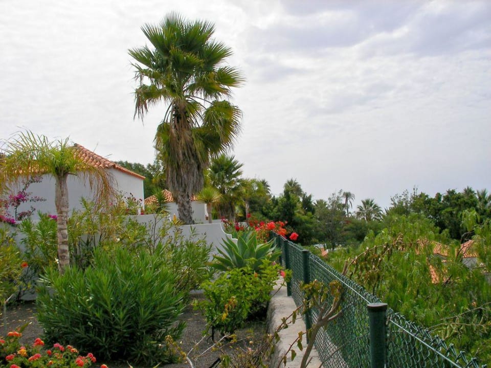 Blick von unserer Terrasse La Palma Jardin
