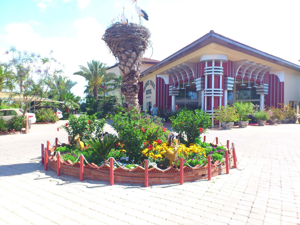 Der erste Eindruck Hotel Orfeus Park