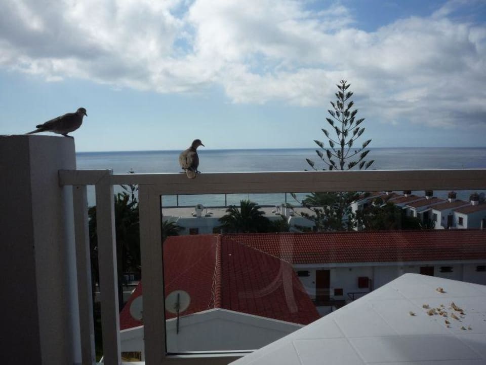 Widok na ocean LABRANDA Marieta - Adults only