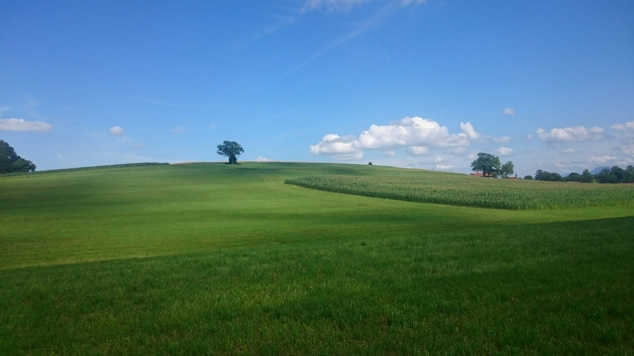 Ausblick Höglerhof  Ferienwohnung Westenburger