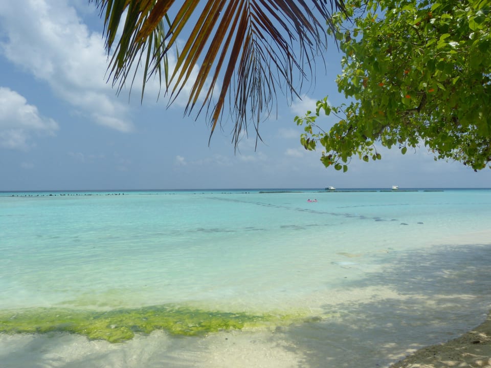 Strand Bungalows 34 Summer Island Maldives