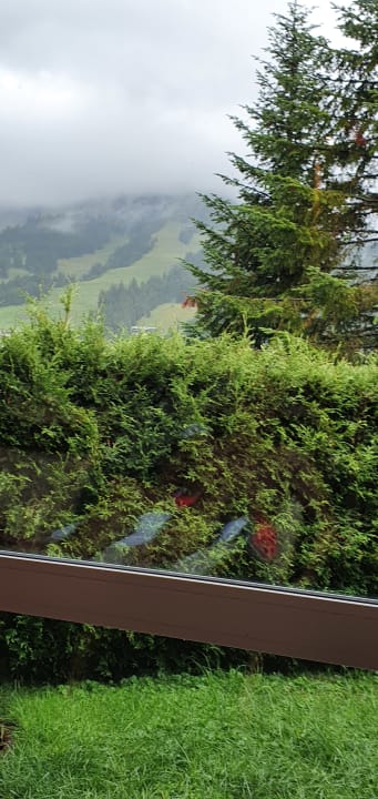 Ausblick Oberjoch - Familux Resort