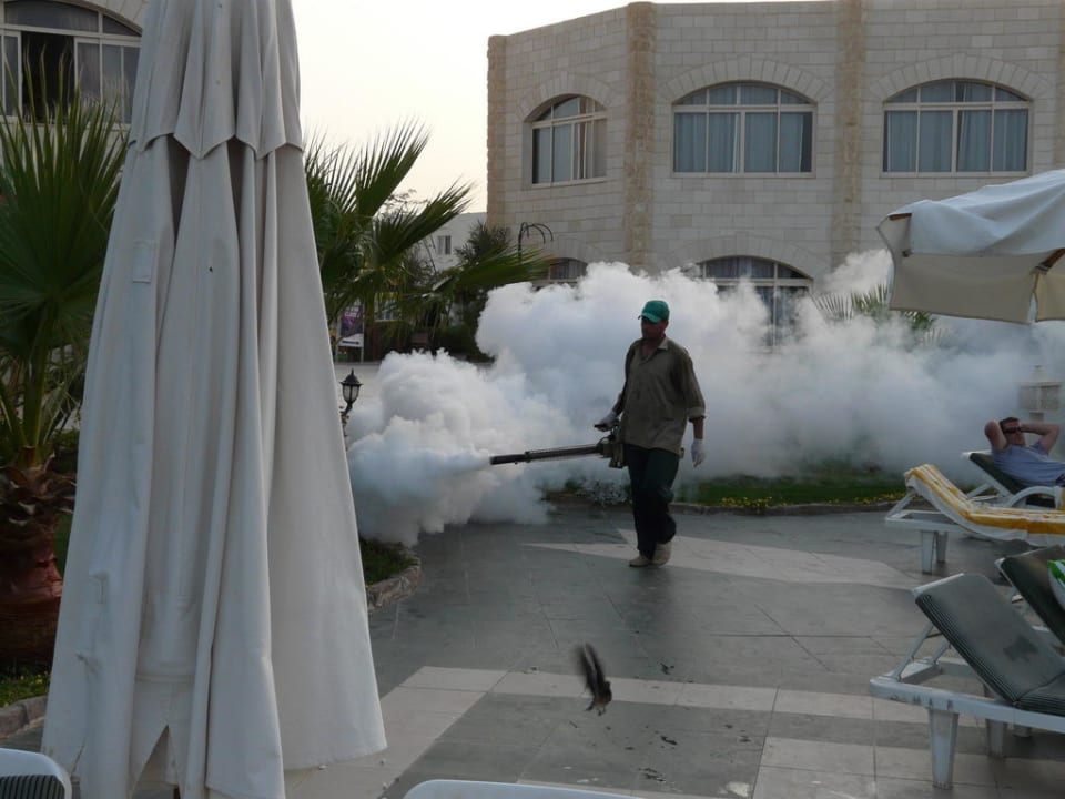 Walka z muchami Brayka Bay Resort