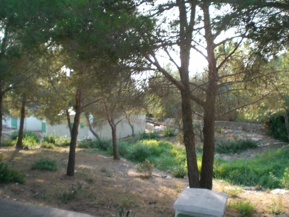 Vom Zimmer aus Sun Club Eldorado