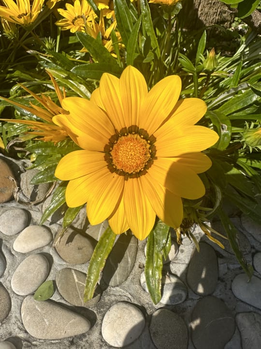 Gartenanlage Belek Beach Resort Hotel