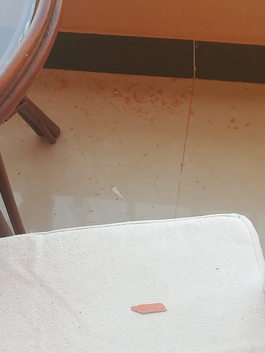 Sonstiges Three Corners Happy Life Beach Resort