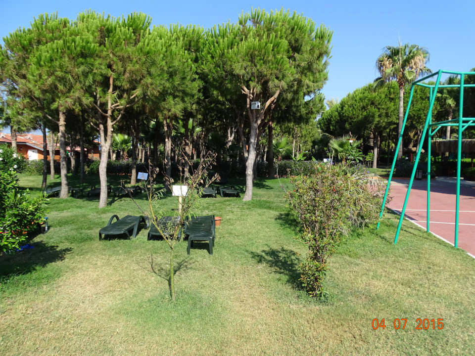 Liegewiese Club Turtas Beach Hotel