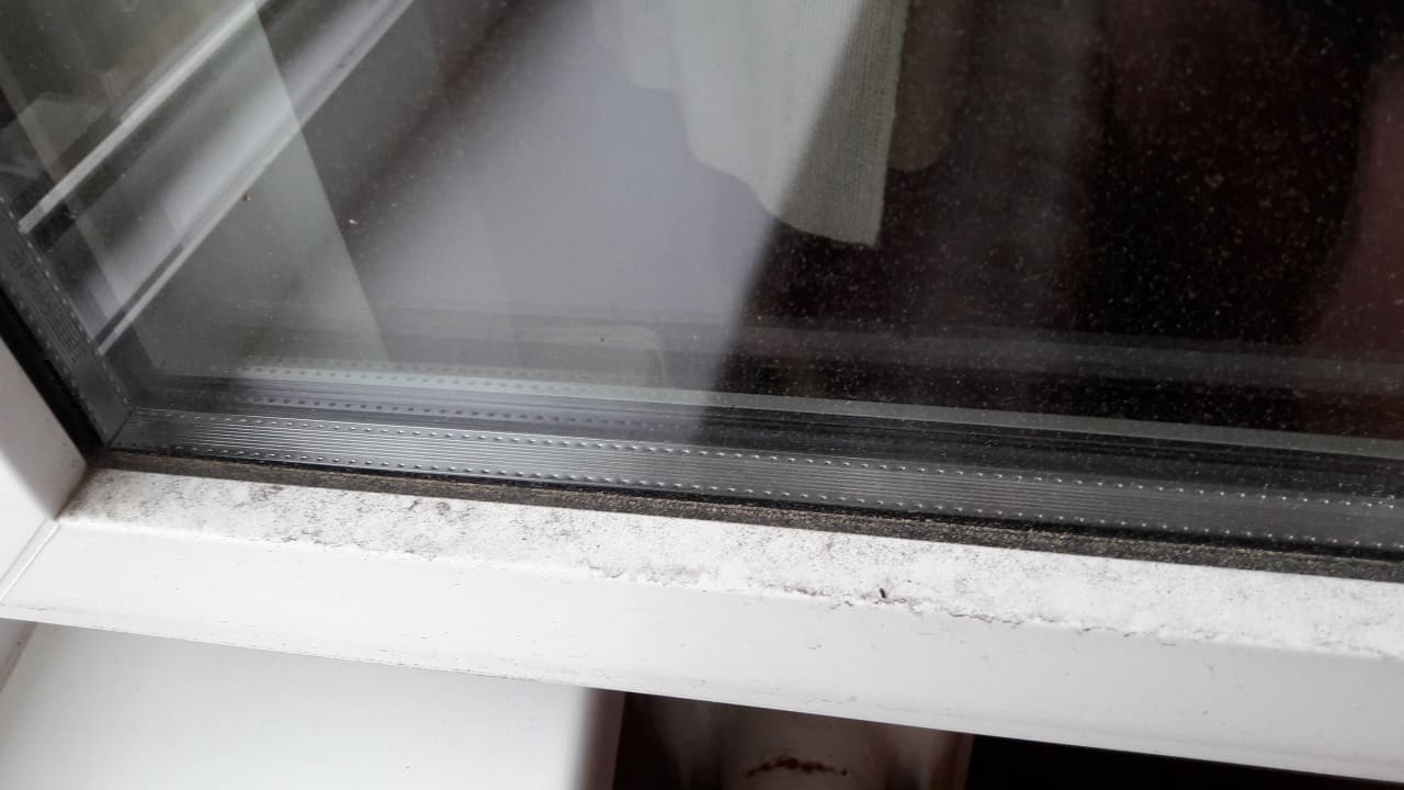 Zimmer Hotel Weißer Hirsch