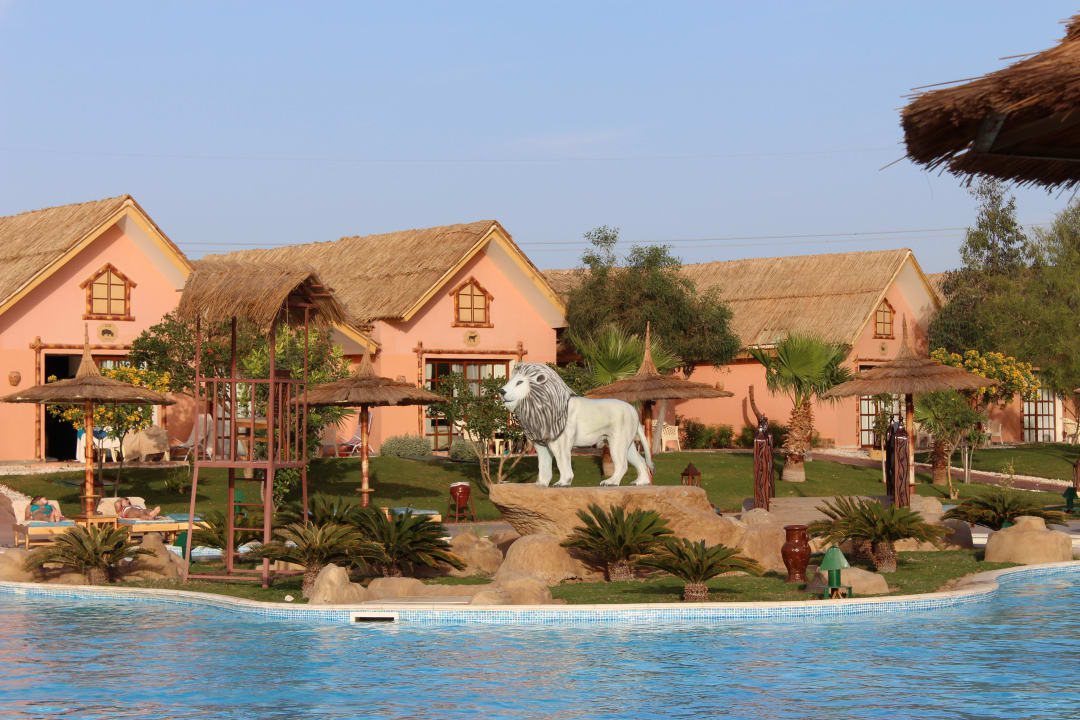 Wow Pickalbatros Jungle Aqua Park Resort - Neverland Hurghada