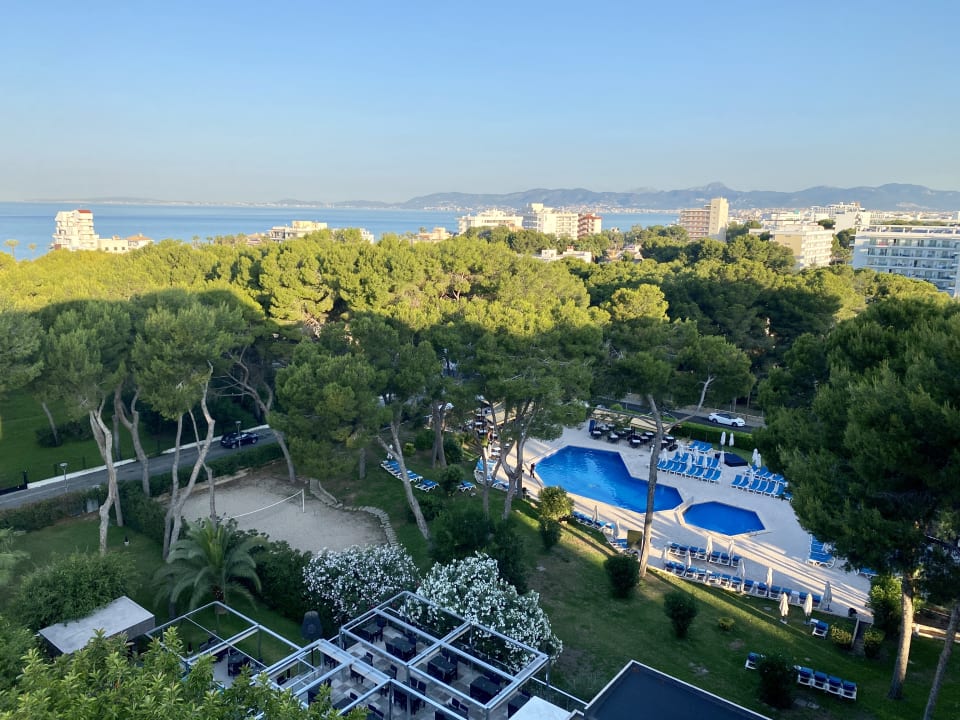 Gartenanlage Hotel Riu Festival