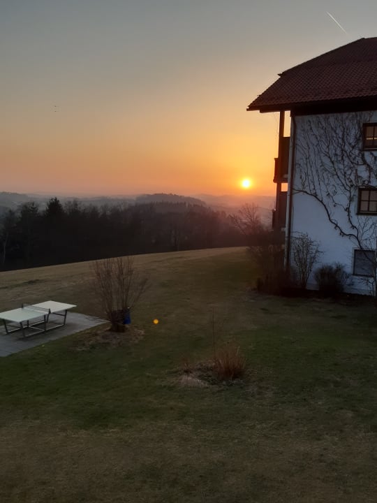 Ausblick Roomingtons City Waldkirchen