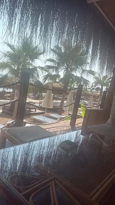 Ausblick Rubi Platinum Sign